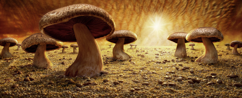 Illustration for article titled Postapocalyptic Images Made Out of Food